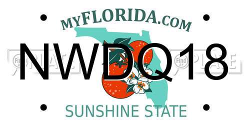 NWDQ18 Florida License Plate