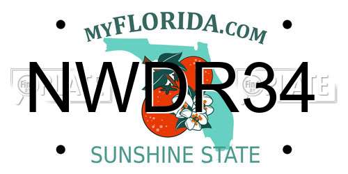 NWDR34 Florida License Plate