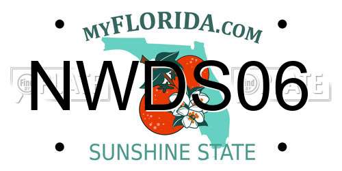 NWDS06 Florida License Plate