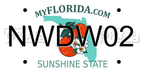 NWDW02 Florida License Plate