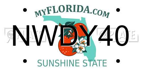 NWDY40 Florida License Plate