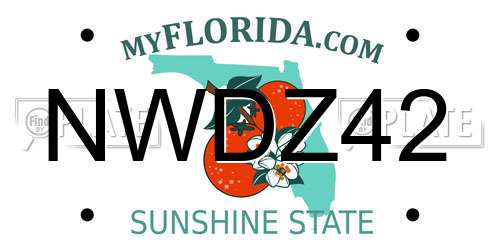 NWDZ42 Florida License Plate