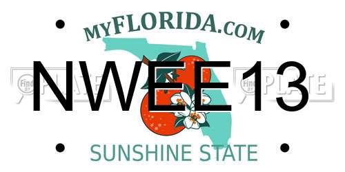 NWEE13 Florida License Plate