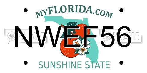 NWEF56 Florida License Plate