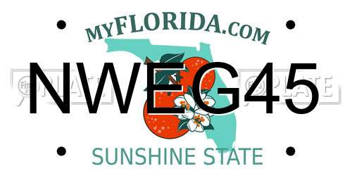 NWEG45 Florida License Plate