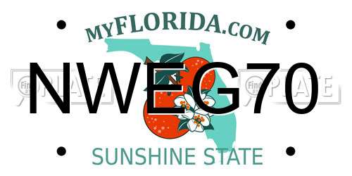 NWEG70 Florida License Plate