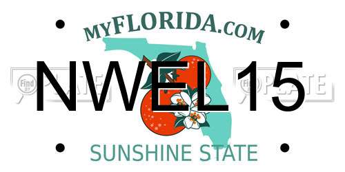 NWEL15 Florida License Plate