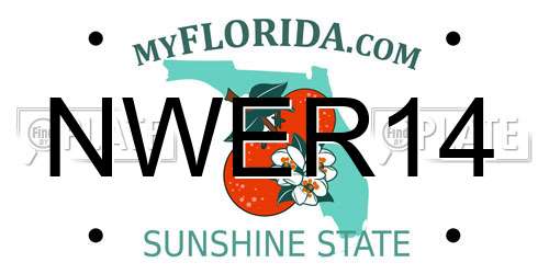 NWER14 Florida License Plate