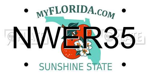NWER35 Florida License Plate