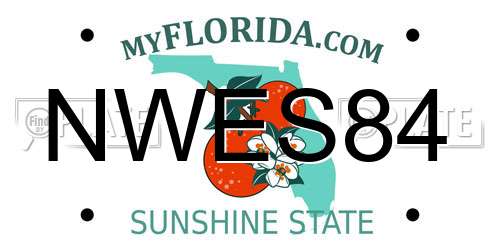 NWES84 Florida License Plate