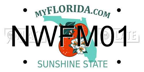 NWFM01 Florida License Plate