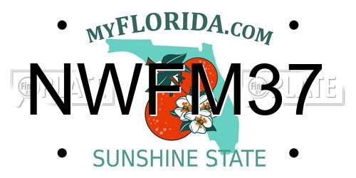 NWFM37 Florida License Plate