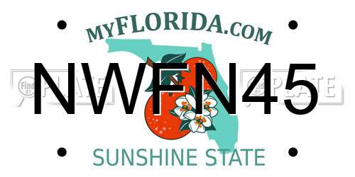 NWFN45 Florida License Plate