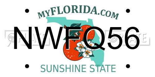 NWFQ56 Florida License Plate