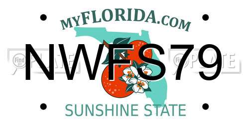 NWFS79 Florida License Plate