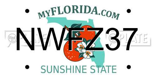 NWFZ37 Florida License Plate