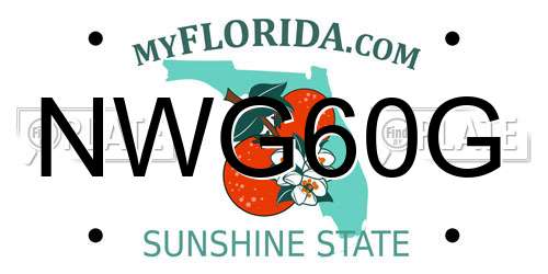 NWG60G Florida License Plate