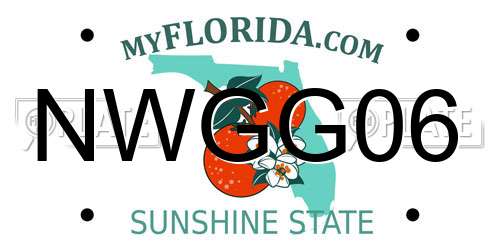 NWGG06 Florida License Plate