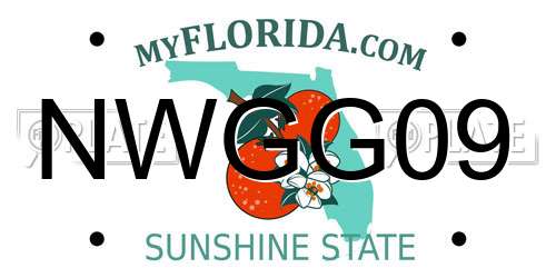 NWGG09 Florida License Plate