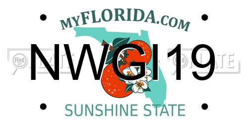 NWGI19 Florida License Plate
