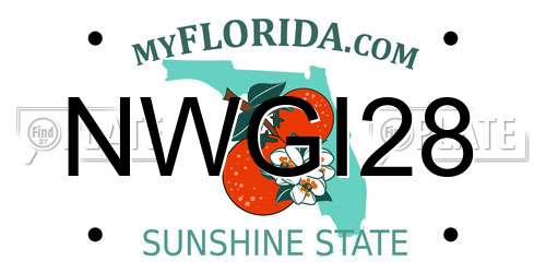 NWGI28 Florida License Plate