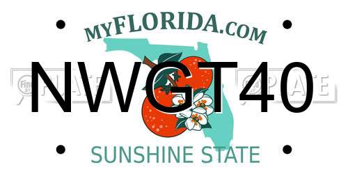 NWGT40 Florida License Plate