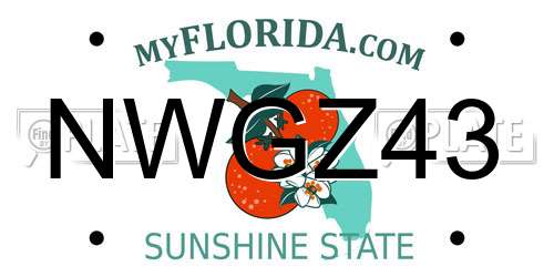 NWGZ43 Florida License Plate