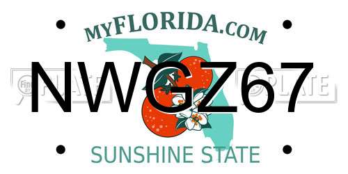 NWGZ67 Florida License Plate