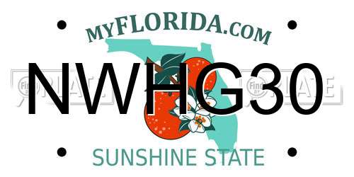 NWHG30 Florida License Plate