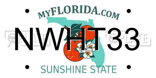 NWHT33 Florida License Plate