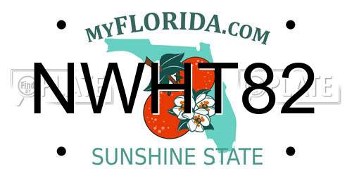 NWHT82 Florida License Plate