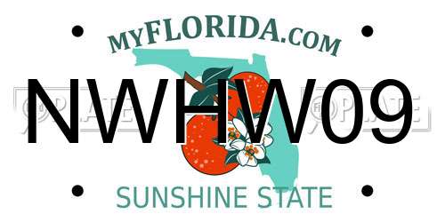 NWHW09 Florida License Plate