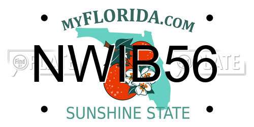 NWIB56 Florida License Plate