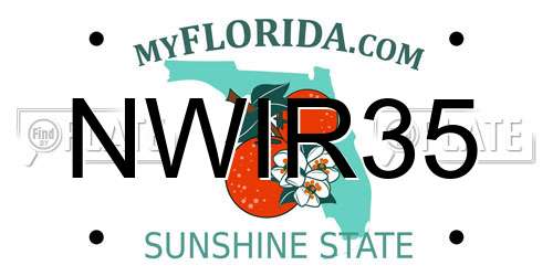 NWIR35 Florida License Plate
