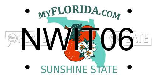 NWIT06 Florida License Plate