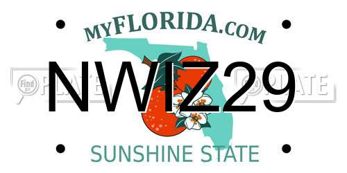 NWIZ29 Florida License Plate