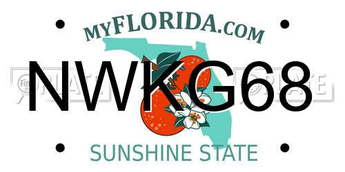 NWKG68 Florida License Plate