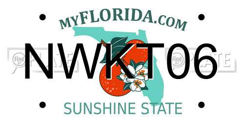 NWKT06 Florida License Plate