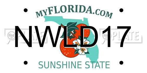 NWLD17 Florida License Plate