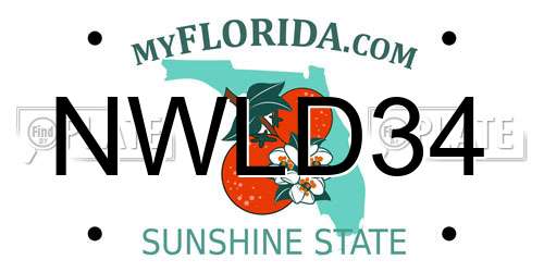 NWLD34 Florida License Plate