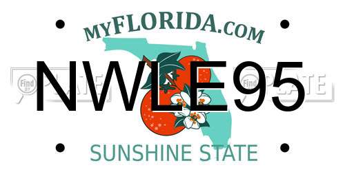 NWLE95 Florida License Plate