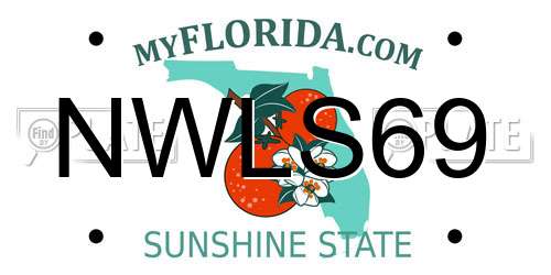 NWLS69 Florida License Plate