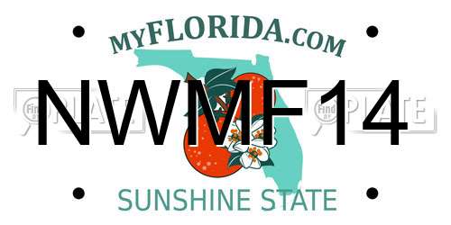 NWMF14 Florida License Plate