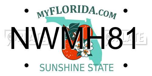 NWMH81 Florida License Plate