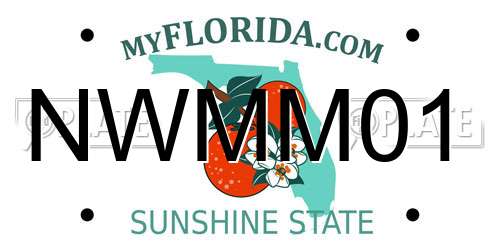 NWMM01 Florida License Plate