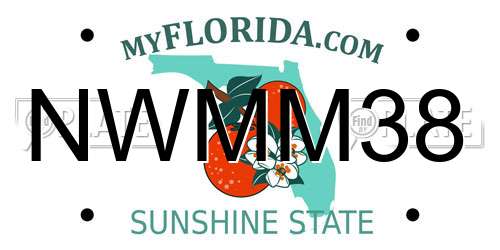 NWMM38 Florida License Plate