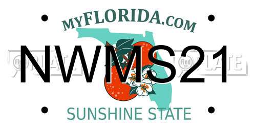 NWMS21 Florida License Plate