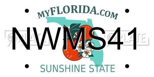 NWMS41 Florida License Plate