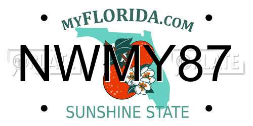 NWMY87 Florida License Plate