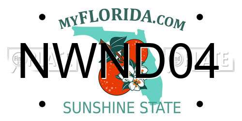 NWND04 Florida License Plate
